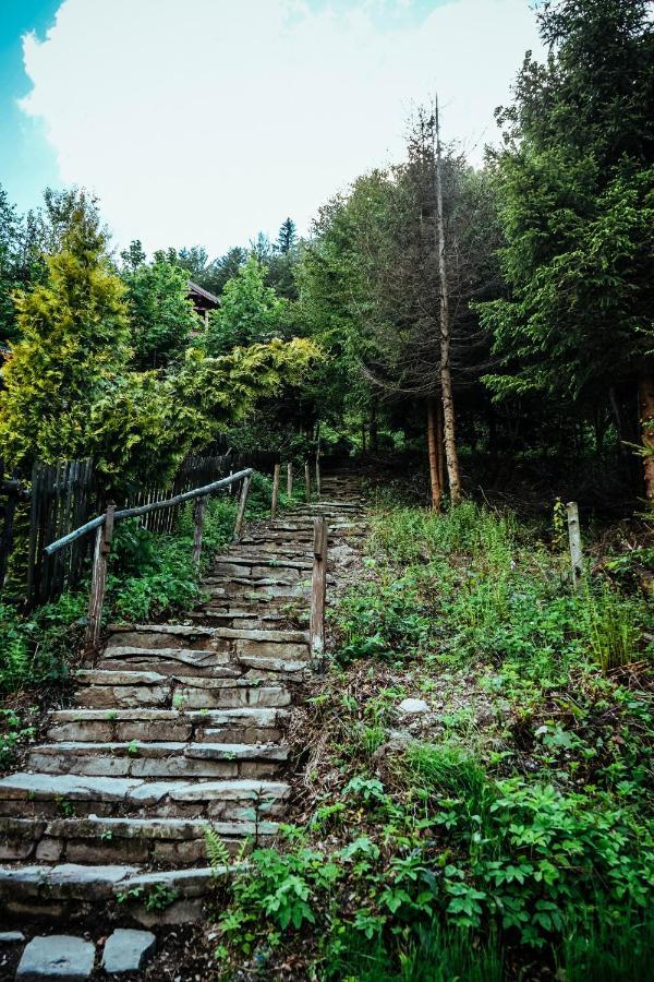 Chill On Hill - Szczyrk Villa Ngoại thất bức ảnh